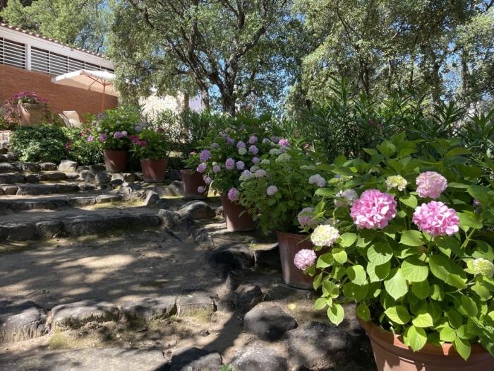 Casa Vista Mar für 16 Personen mit einem unglaublichen Garten- und Meerblick in Platja d'Aro
